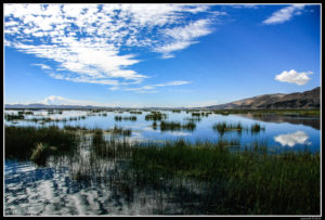 Peru-1377_LSCRIGNA_gen-29-214719-2018_Conflict